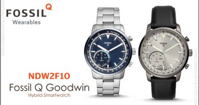 Scheda Tecnica Fossil Q Goodwin Hybrid Smartwatch