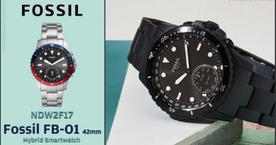 Scheda Tecnica Fossil FB-01 42mm Hybrid Smartwatch