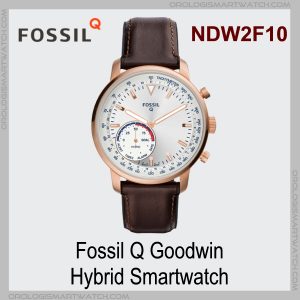 Fossil Q Goodwin Hybrid Smartwatch (NDW2F10)