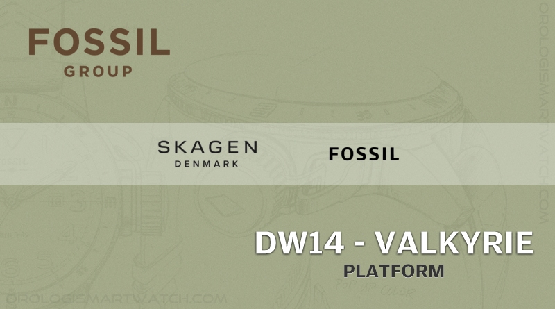 Fossil DW14 Platform