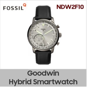 NDW2F10 Fossil Q Goodwin Hybrid Smartwatch