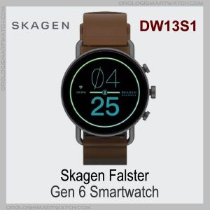 Skagen DW13S1 Falster Gen 6 Smartwatch